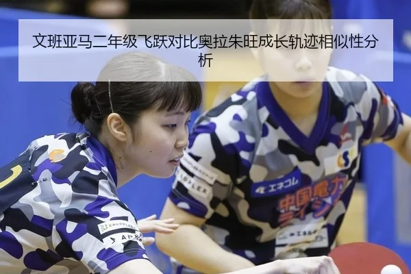 wen-ban-ya-ma-er-nian-ji-fei-yue-dui-bi-ao-la-zhu-wang-cheng-zhang-gui-ji-xiang-si-xing-fen-xi-2-272.jpg