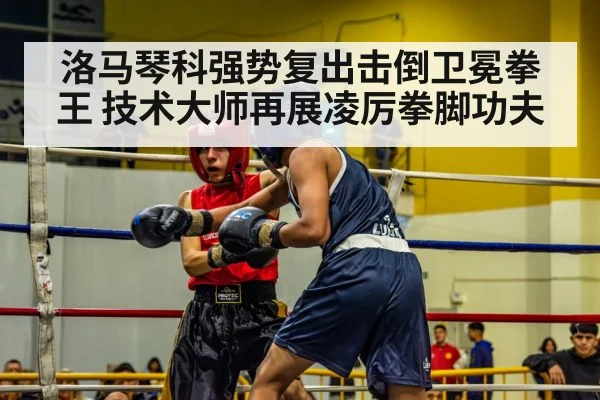 洛马琴科强势复出击倒卫冕拳王 技术大师再展凌厉拳脚功夫