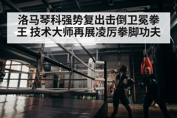 boxer training